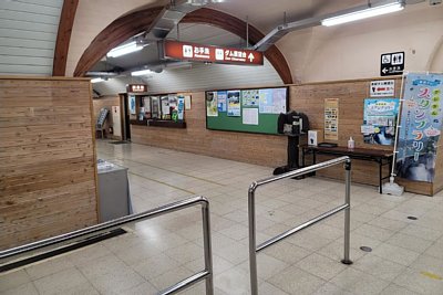 �����_���w