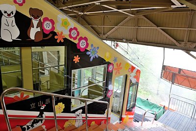 �P�[�u���J�[