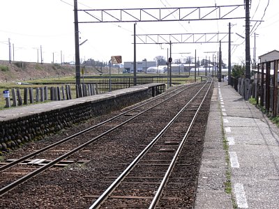 ¼‹›’Éwƒz[ƒ€