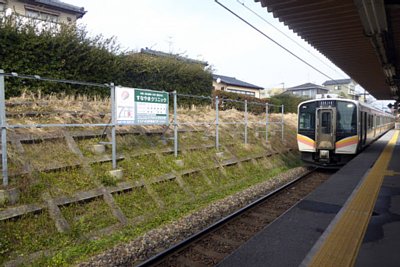 �P���z�[��