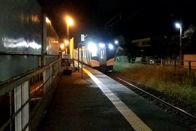 �P���z�[��