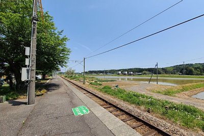 �P���z�[��