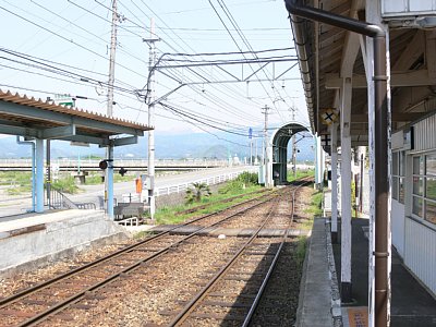 ���Ύ��z�[�����Ȃ����؂ɂ͎Ւf�@���Ȃ�