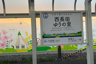 �w���\����