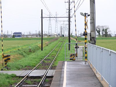 �P���z�[��