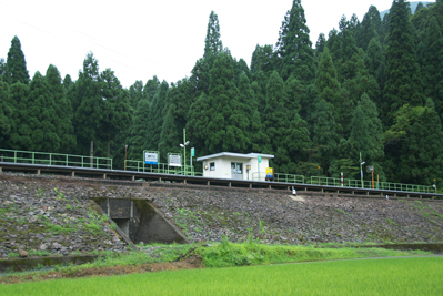 �z�O���R�w