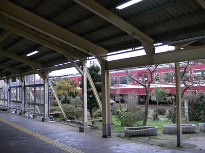 �z�[���̂��΂ɒ뉀�炵�����̂�