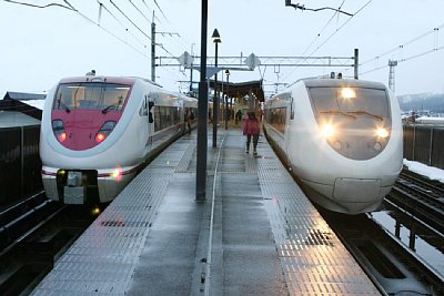 スノーラビットとホワイトウイング