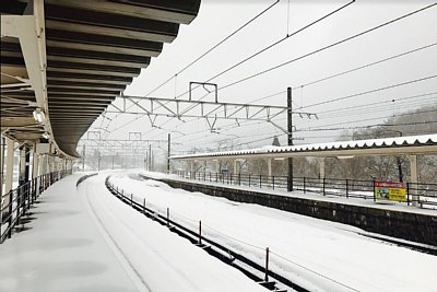 ��ɕ�܂ꂽ�z�[��