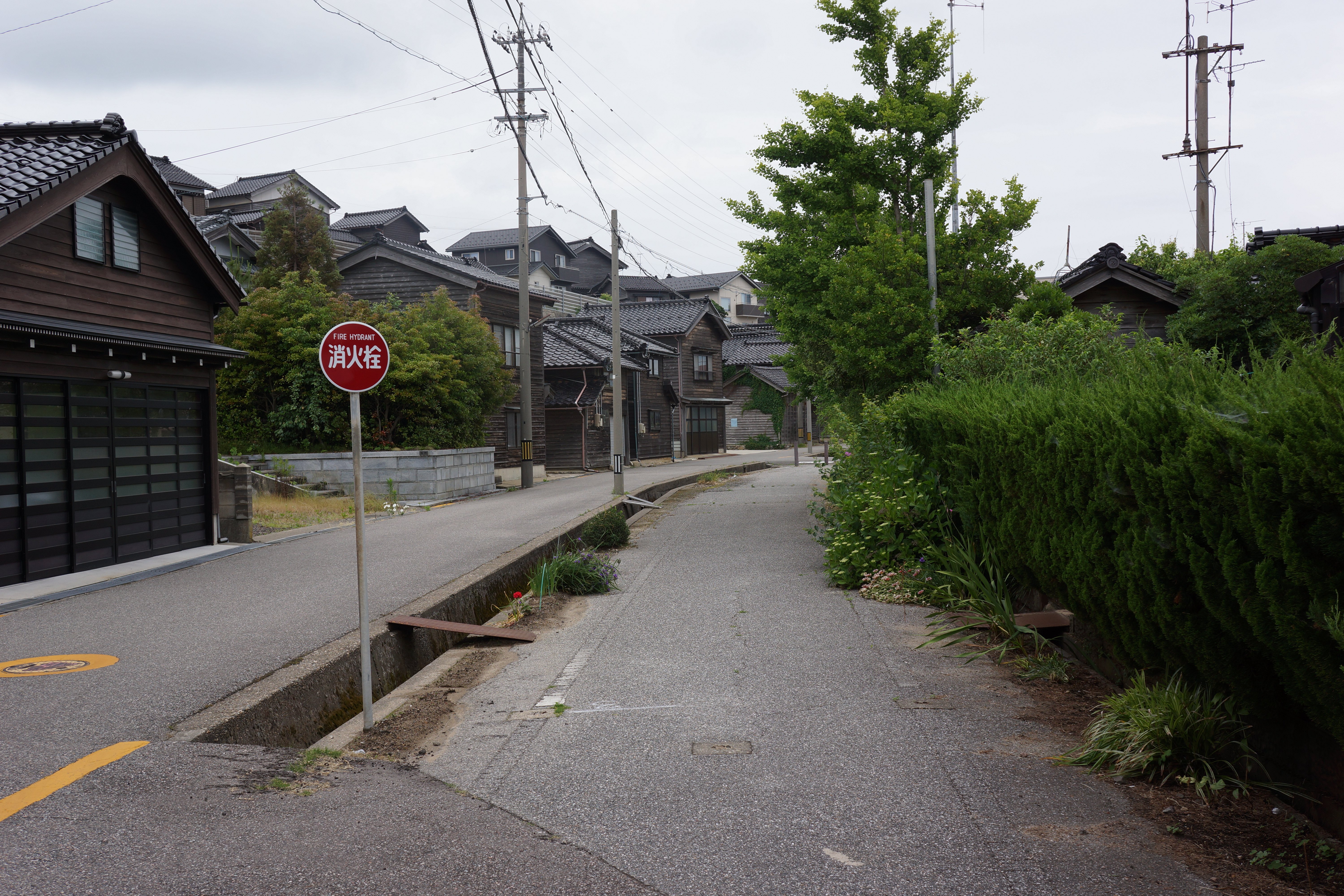 �E�������H��