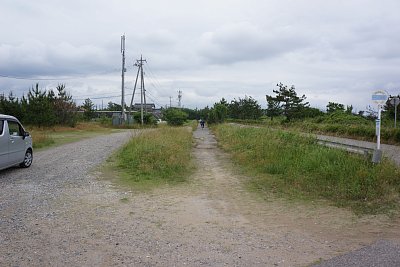 ���H�Ղƃo�X��