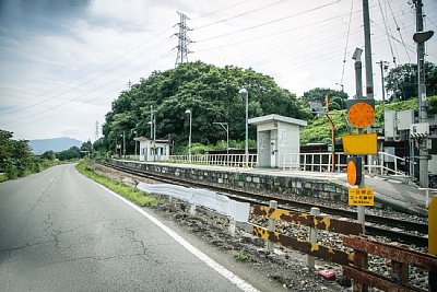 ���؂����΂ɂ���܂�