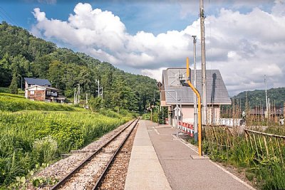 �P���z�[��