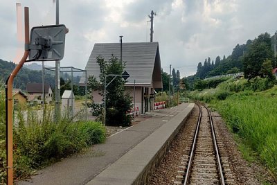 �z�[���̌������Ő��H���J�[�u���Ă��܂�