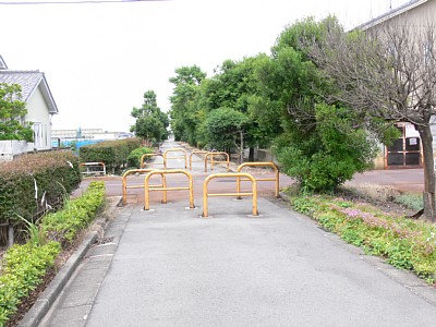 �ŏo�w�Օt�߂���{�]�w���ʂ�����