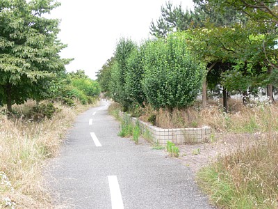 �B���w�Օt��