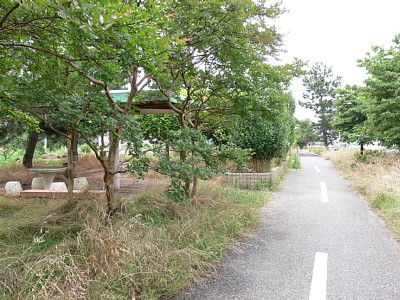 �w�Ղ���l�����ʂ�����