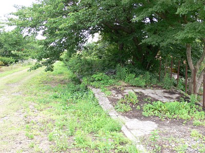 �C�V�]�w��