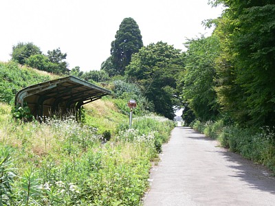 �����R�w�Օt��