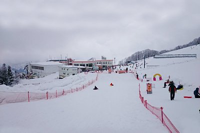 �K�[������X�L�[��