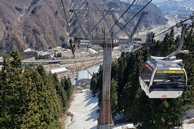 �S���h�����t�g�u�f�B���W�����X�v