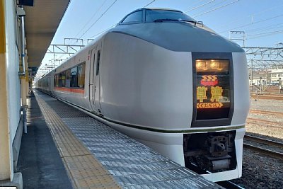 ���ѐ��̓��}�u���Áv����Ԃ��Ă��܂�