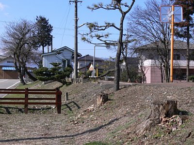 ���΍��w�S�i