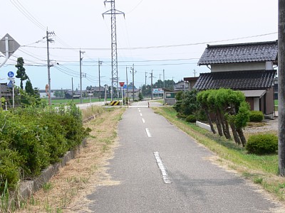 ���̂�����͍����ƕ��s���Đ��H�������Ă��܂�