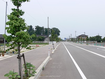 歩道のあたりが線路跡です