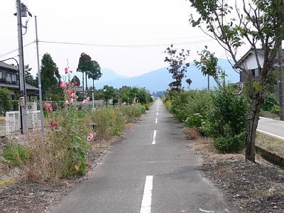 �����_�Е��ʂ�����