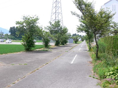 ���H�̖��ʂȍL�����w�Ղ̏؋��ł�