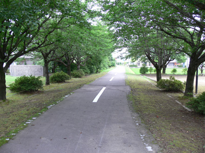 �Ñ�w�Օt��