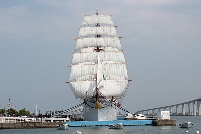海王丸の総帆展帆を正面から