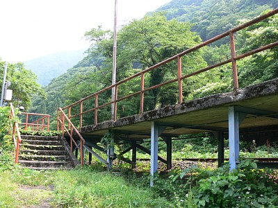 �z�[��������