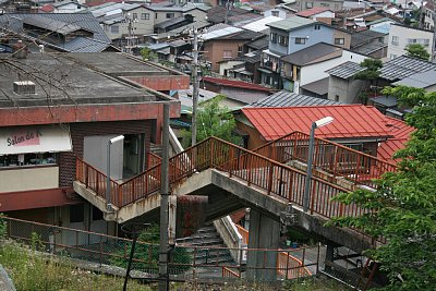 �����S�P�������猩���w�ɂ̗l�q