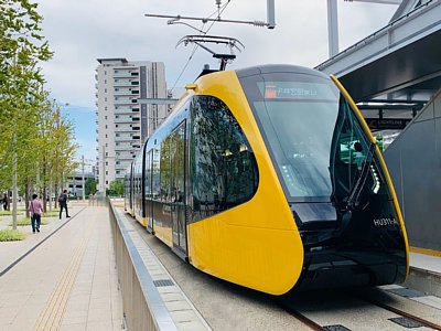 �F�s�{�w�����◯��ɒ�Ԃ��郉�C�g���C��