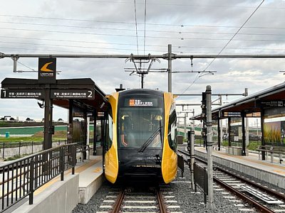 ���΃z�[���Ƀ��C�g���C������Ԃ��܂�