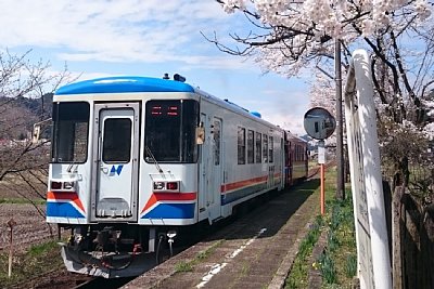 �i�K��500�`�C����