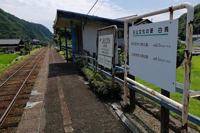 ���������w