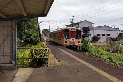 �i�K��600�`�C����