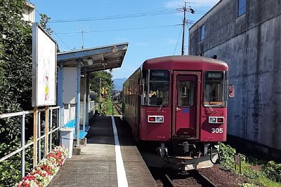 �����Ă炷�O�w