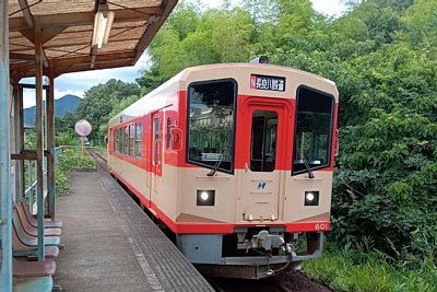 �i�K��600�`�C����