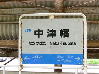 ���Ô��w�w���W