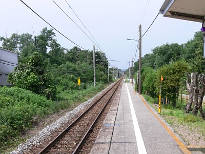 �P���z�[������H����ʂ�����