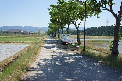 �O�c���w��