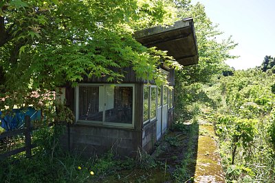 �O�g�w�ҍ���