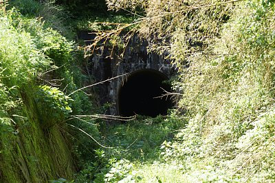 �g���l��������܂�