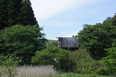 ���Y�w���i