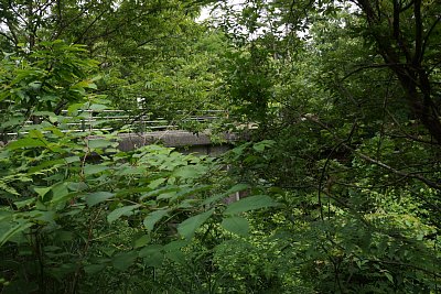 �א������G���ł悭�����Ȃ������肵��