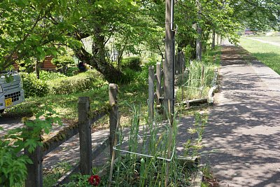 �z�[���ɂ͉Ԓd������܂���